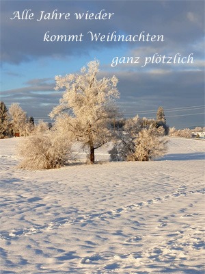 Adventskalender 2025